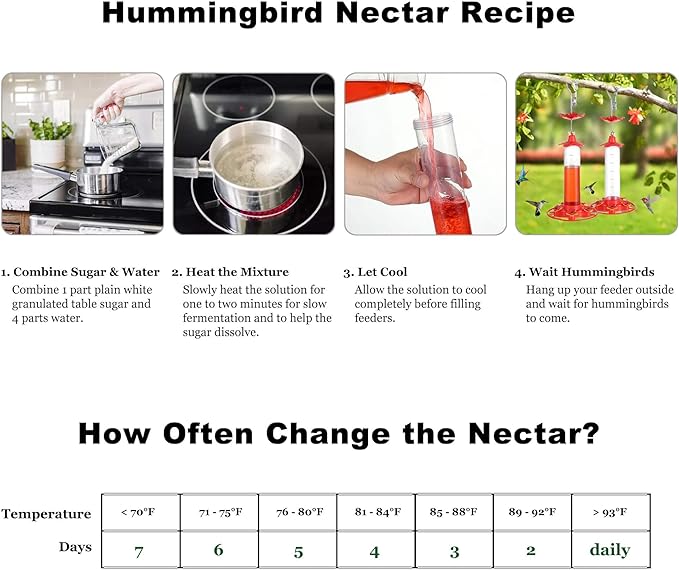 Hummingbird Feeders for Outdoors Hanging - 5 Feeding Ports 320 ml Plastic Hummingbird Feeder, Bee-Proof Leak-Proof No Drip, Easy to Clean with Cleaning Brush