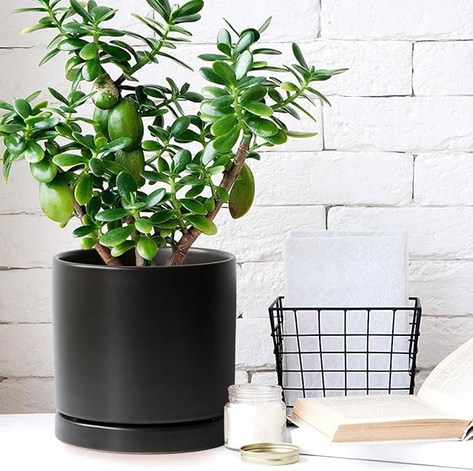 2 Pack Ceramic Plant Saucer Pot Tray 8 Inch, Planter Saucers 4 5 6 7 8 9 10 11 12 13 Inch for Indoors Outdoor, Durable Sturdy Flower Drainage drip Water Tray for Glazed Pots Base (8.5 Inch-Black)