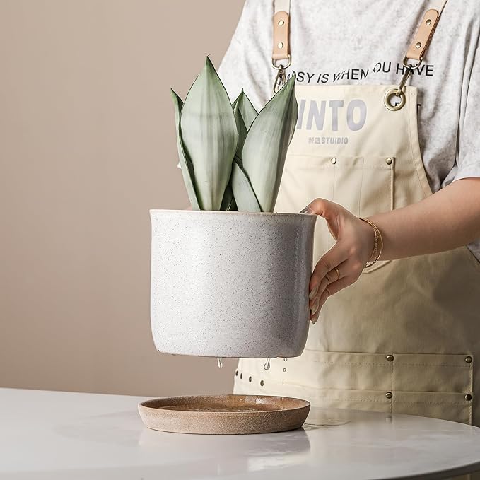 8 Inch Plant Pot: Ceramic Planter with Drainage Hole & Saucer - Cylinder Round Flowerpot for Indoor & Outdoor Plants - with Separate Tray for Home & Office - Retro Style, Grey