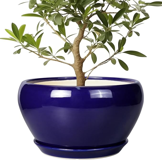 Ceramic Planter - 13 Inch Indoor Plant Pot for Plants with Drainage Hole and Saucer Large Planter Round Outdoor Flower Pot Mid-Century for House Patio Room Decor Blue