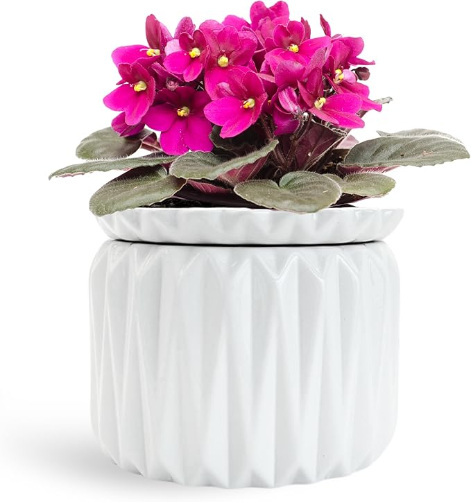 6 inch Self Watering Pot for Indoor Plants, African Violet Pot Ceramic, Flowers Planter (4 inch Opening), Holds 3 Weeks of Water (1 Pack)
