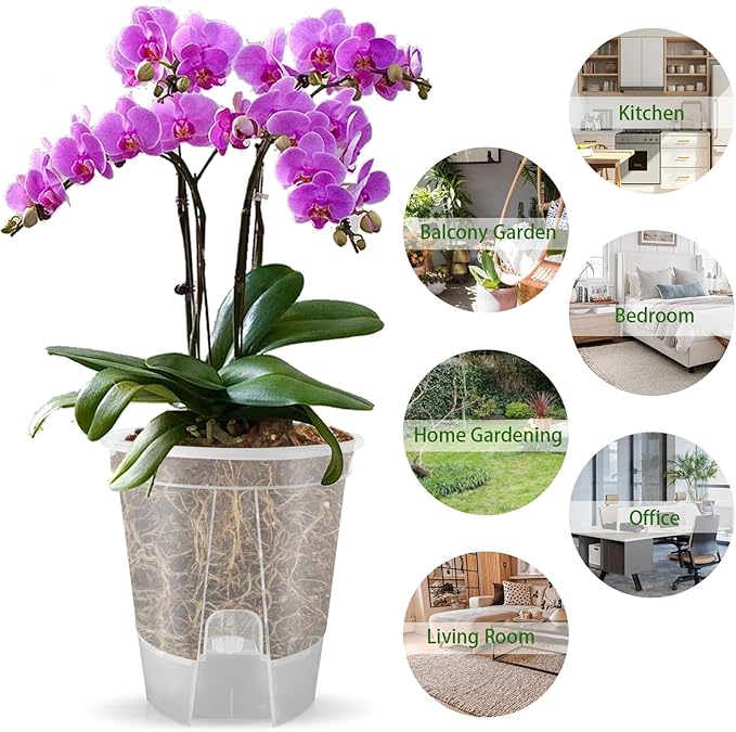 Cdd's Path 5-Pack 6 Inch Self Watering Pots Set with Holes for Indoor/Outdoor Plants,Planter Pot with Watering Hole/Reservior and Air Pipes,Clear