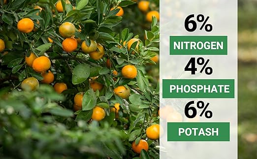 6-4-6 Avocado and Citrus Tree Professional Fertilizer Plant Food for Outdoor/Indoor Gardening; Quick-Release Nitrogen Fertilizer; Orange, Lime, Avocado and Lemon Tree Fertilizer (1 Quart)