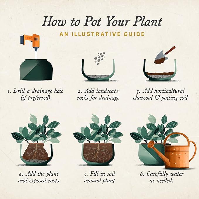 ARBORA 16" Monaco Square Polyresin Indoor and Outdoor Planter with Classic Cream Finish - Durable, Weatherproof, Lightweight, Large Plant Pot for Patio, Garden, Deck, Entryway