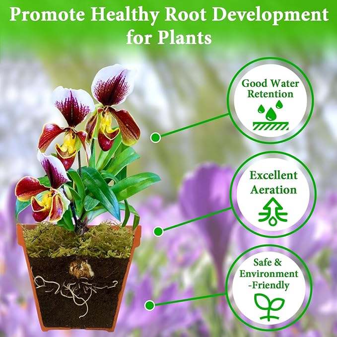 Halatool 3.3LB Green Forest Moss Natural Sphagnum Moss for Plants Fluffy Orchid Moss for Orchids Repotting Dried Plant Moss for Potted Plants Indoor & Outdoor