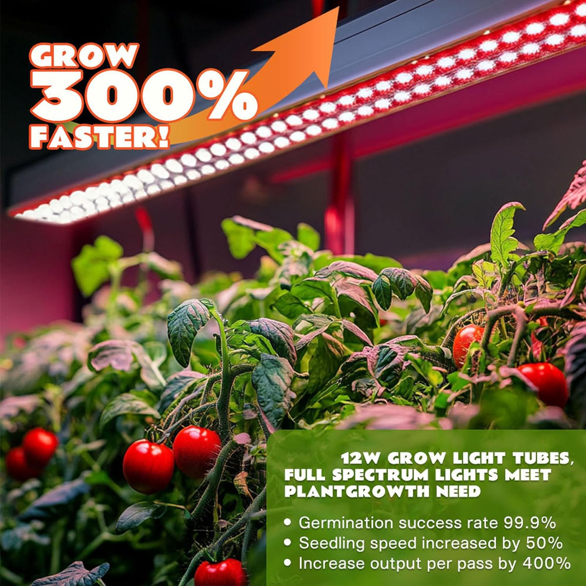 Large 3-Tier Indoor Hydroponics System Kit with Grow Lights, Double Water Pump Indoor Garden, and 72 Large Pods for Vegetables Herbs Microgreens