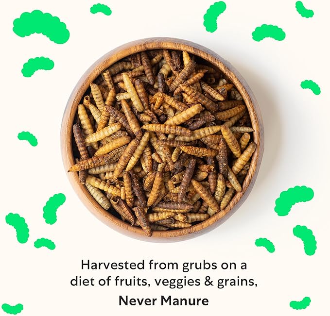 Grubblies - Black Soldier Fly Larvae for Chickens - Chicken Treats Grown in The US and Canada - for Strong Eggshells and Healthy Feathers - Grubblies Hometown Harvest 1LB