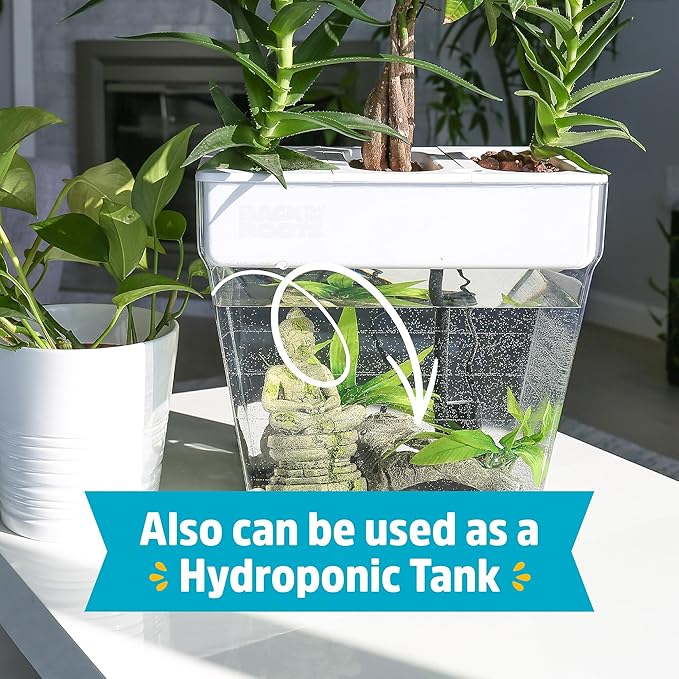 Back to the Roots Indoor Aquaponic Garden - 3 Gallon Self Watering, Mess-Free Planter and Self-Cleaning Fishtank for Herbs, Microgreens, Bamboo, Succulents, and Houseplants, support Fish