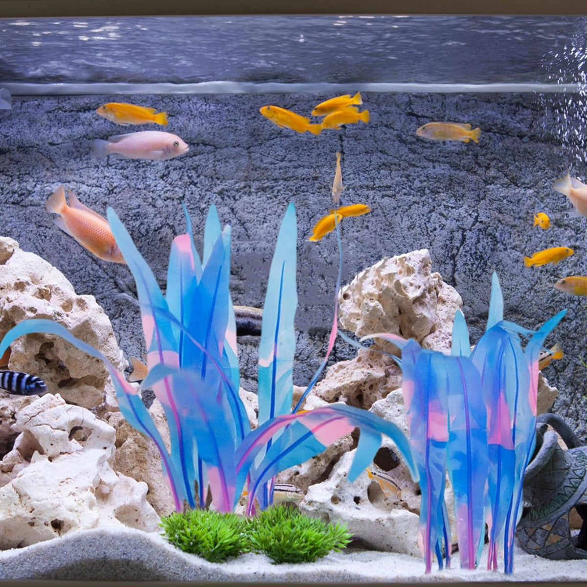 Kaiyuan Dynasty 2pc Silicone Aquarium Plants Artificial Plants for Fish Tank Glowing Kelp Aquarium Plant Decor Fish Tank Plants Simulation Artificial Water Grass,7inch,Blue