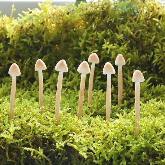 8-Pack Clay Mushrooms,Mini Fake Mushrooms,Handmade Small Mushroom,DIY Miniature Landscape Accessories,Miniature Fairy Garden Supplies,Desktop Miniature Ornaments,Christmas Decorations.