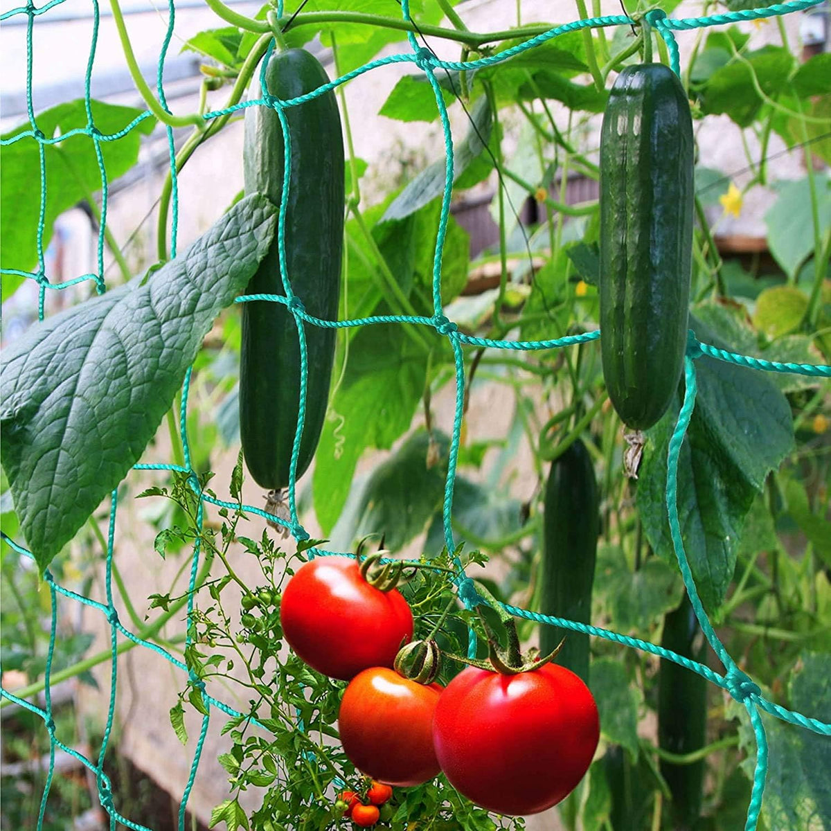 Trellis Netting for Climbing Plants - Heavy Duty Garden Trellis Netting for Cucumber, Vine, Fruits & Vegetables Tomato Plants Trellis Net, Climbing Vining Plants (1-Pack 3.3' x 6.6'Ft)