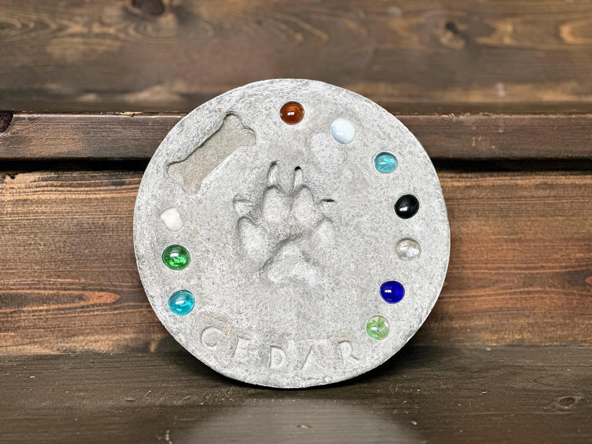 DIY Paw Print Stepping Stone Kit, Pet Memorial Stone, Pet Garden Stone (10 Inch)