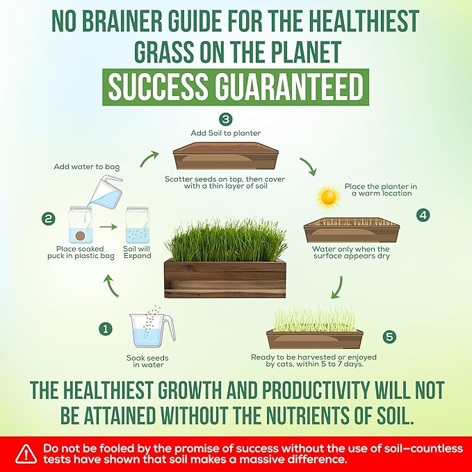 Cat Grass for Indoor Cats Kit – Limited Edition with Decorative Planter, Cat Trellis & Organic Seeds, Free Cat Toy & Catnip Spray for Ultimate Kitty Joy (AW)