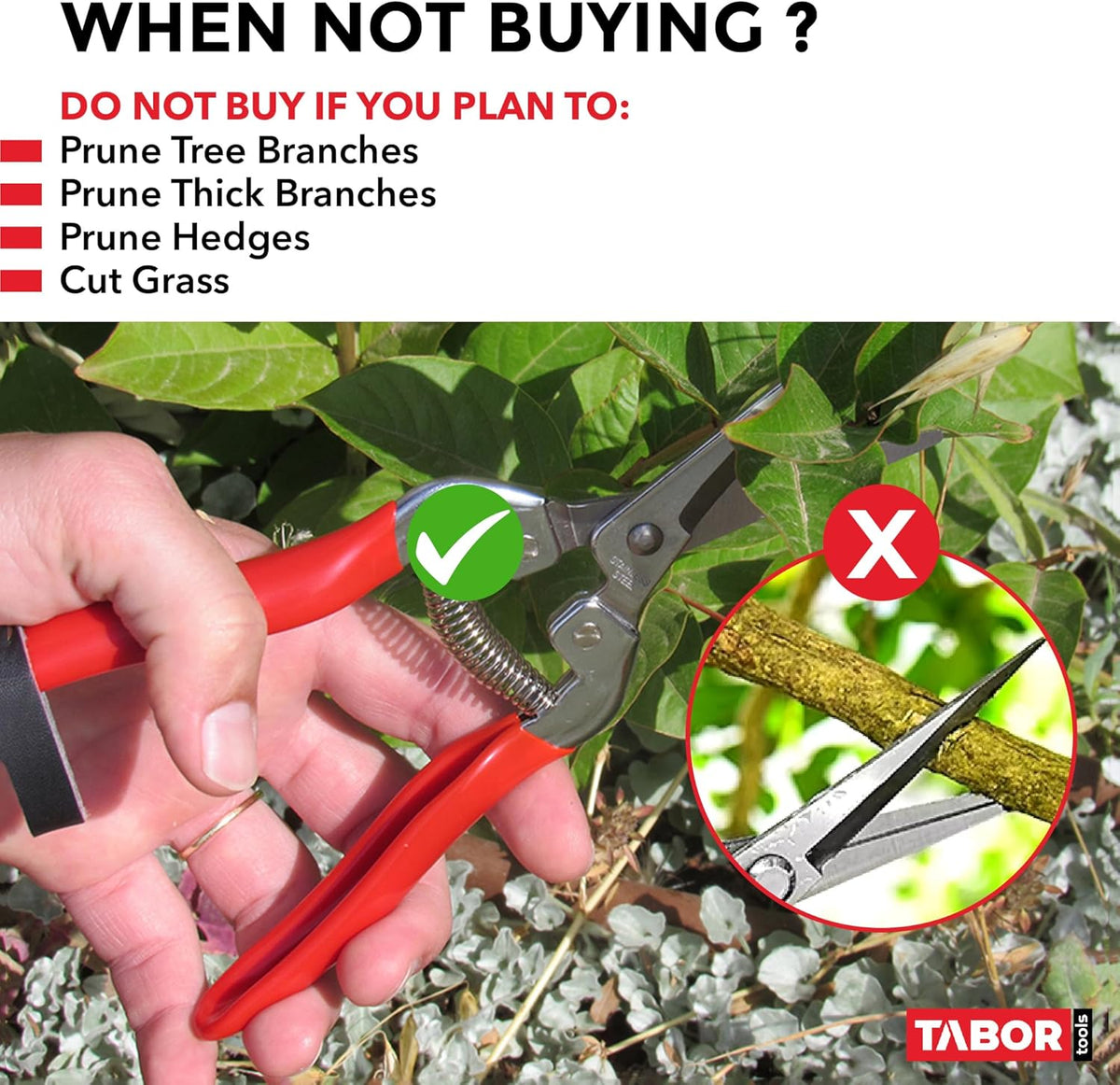 TABOR TOOLS Pruning Shears, Florist Scissors, Multi-Tasking Garden Snips for Arranging Flowers, Trimming Plants and Harvesting Herbs, Fruits or Vegetables. K17A. (Straight, Stainless Steel Blades)