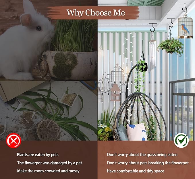 Ceiling Hooks for Hanging Plants 8Pack 2.5in,Wall Mount Hangers Plant Hooks,Wall Hooks for Plants,Lights,Planters,Lanterns,Hanging Bird Feeders,Wind Chimes,indoor&Outdoor Decoration Hooks Black