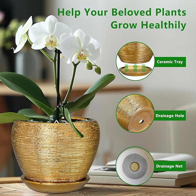 Ceramic Plant Pot 8 Inch - Planter for Outdoor Plants Indoor Plant Pot with Drainage Hole and Saucer Decorative Round Planter Modern Flower Pot for House Decor Gold