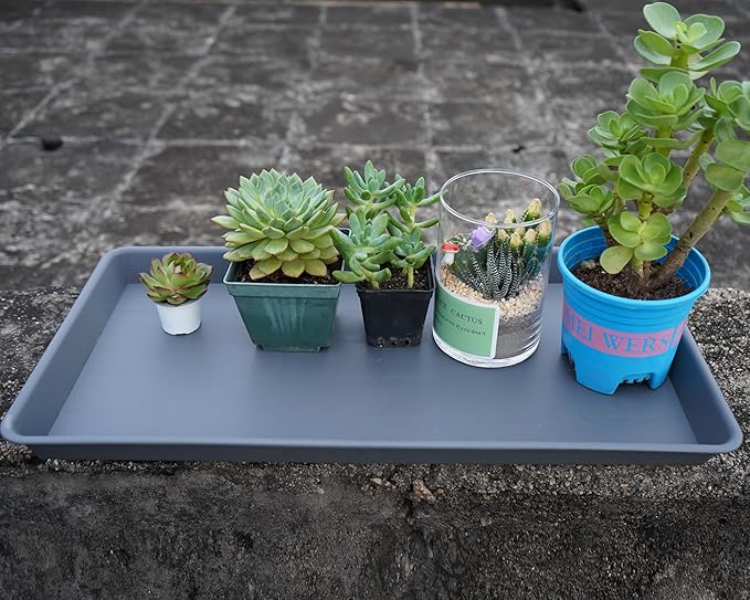 Plant Saucer Growing Tray, Seed Starter Tray Rectangular, Heavy Sturdy Plastic Plant Saucers Drainage Trays, Plant Drip Trays for Pots, Seed Starter Growing Tray (11 x 9 inch, 1 Pack)