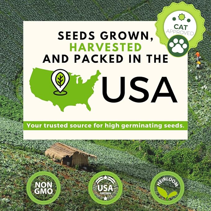 HOME GROWN 3 Cat Grass Seed Mix – Non-GMO Heirloom Oat, Alfalfa & Cat Grass Seeds | Indoor Pet Grass for Cats | High-Germination Greens for Hairball Control, Digestion, and Chewing Enrichment