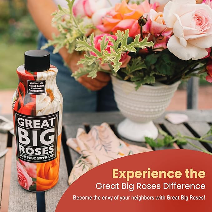 Great Big Roses – Soil and Rose Fertilizer Booster to Grow The Best Roses and Flowers; Rose Food Compost Extract for Rose Bush, 2.5 Gallon Concentrate (Makes 80 Gallons)
