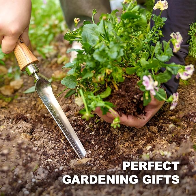 Berry&Bird Seeding Widger,Stainless Steel Seed Dibber Tool with Measuring Scale,Wooden Handle Garden Bulb Trowel for Seed Planting Tool Hand Shovel Planter Transplanter Dibber Soil Digginng