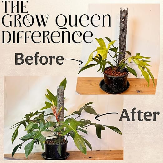 All-in-One Complete Organic Plant Food, Indoor Plant Fertilizer, for Houseplants, Organic Fertilizer for Vegetable Gardens, 11 Formulated Single Servings Feeds 22 gal Fast and Slow Release