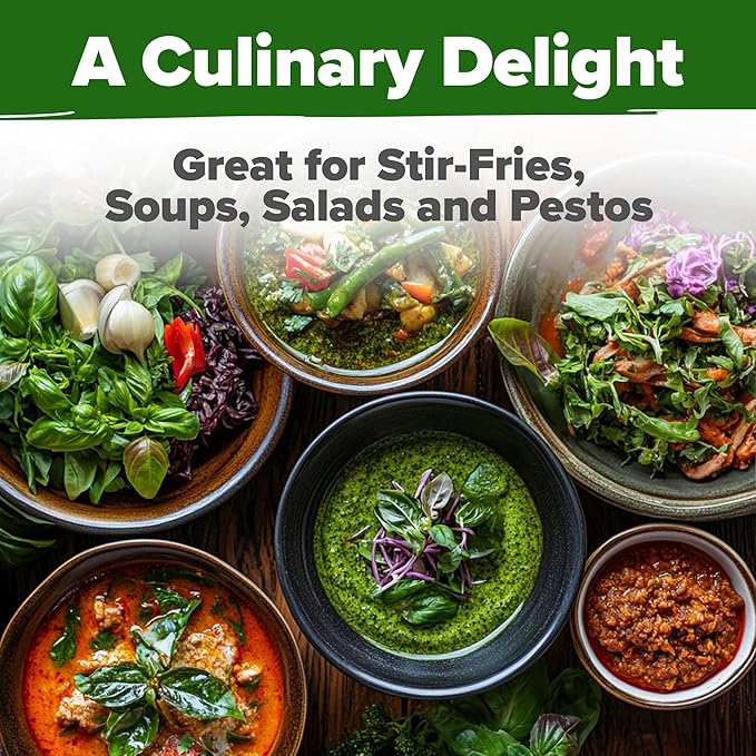 HOME GROWN Thai Basil Seeds Pack - 876 High Germination 𝗡𝗢𝗡-𝗚𝗠𝗢 𝗨𝗦𝗔 Heirloom Herb Seeds for Planting,Ideal for Growing Fresh Basil Planting Indoor or Outdoor(Ocimum basilicum var.thyrsiflora)