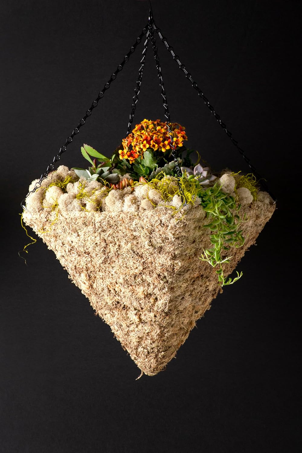 SuperMoss (29247D MossWeave Hanging Basket | Outdoor Hanging Planter with Moss | Decorative Plant Hanger for Porch, Balcony, Garden & Home Décor, Pyramid, Small 12.5” D, Blond