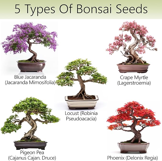 Bonsai Tree Kit for Beginners – 5X Unique Japanese Bonzai Trees | Complete Indoor Starter Kit for Growing Bonsai Plants with Tools & Planters – Gardening Gifts for Women & Men