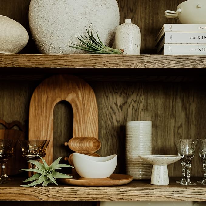 Air Plants Bulk - Tillandsia Variety Wholesale Pack, Regular 1-3" - 25ct - Live Arrival Guaranteed - House Plants for Home Decor & Gift