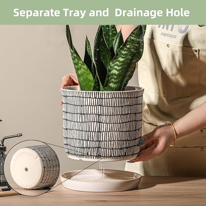 8 Inch Plant Pot: Ceramic Planter with Drainage Hole & Saucer - Cylinder Flowerpot for Indoor & Outdoor Plants - with Separate Tray for Home & Office - Striped Design