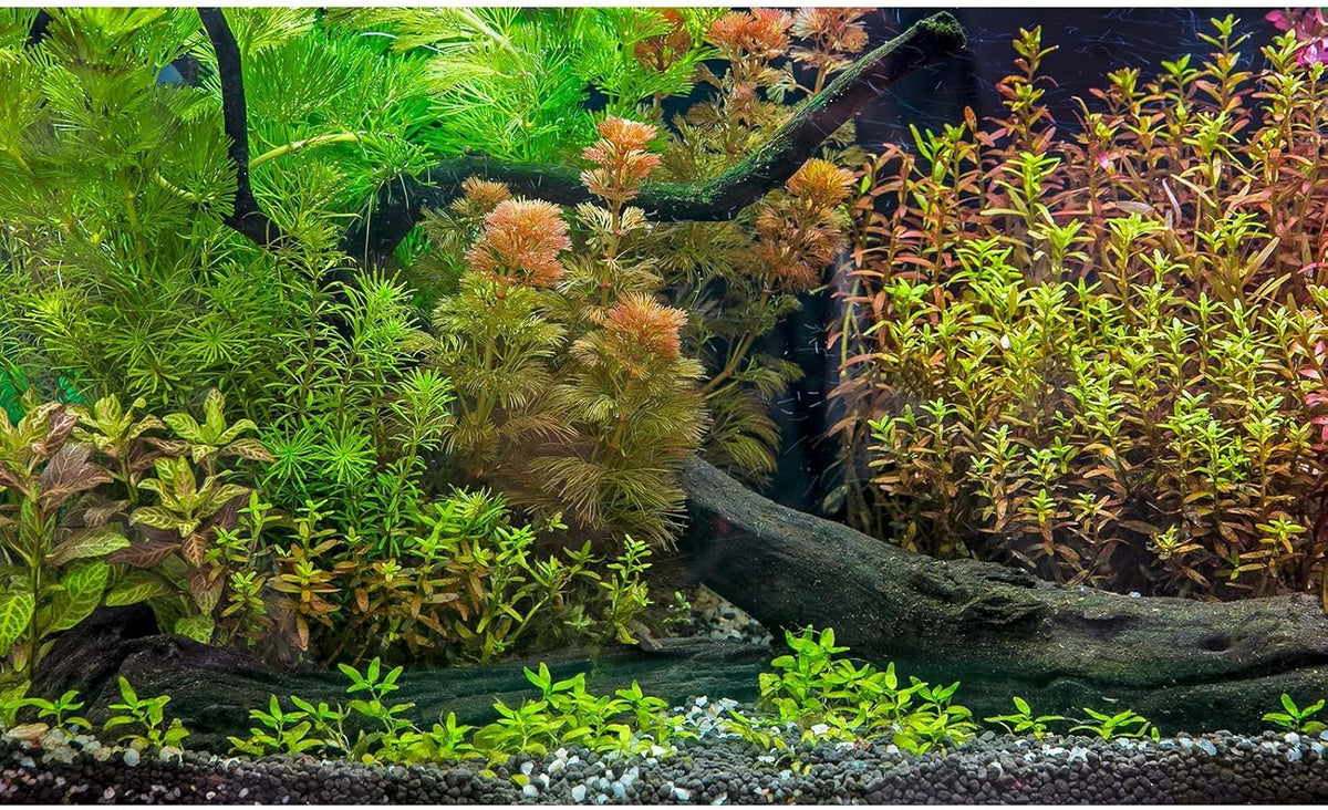 Underwater Fish Tank Background Grass Leaves with Pebbles Exquisite Aquarium Background Vivid Green Aquatic Plant Stone River Bed Terrarium Background Underwater Dead Wood Tank Background 48x24in