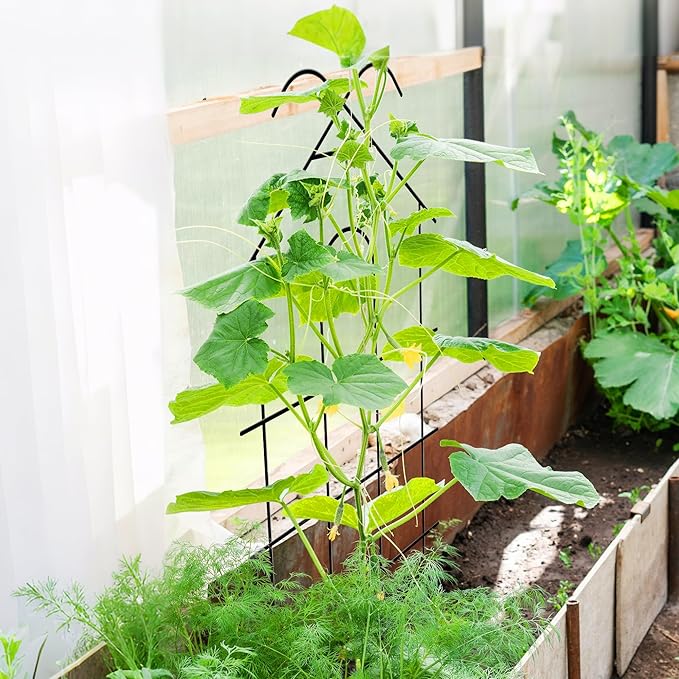 ARIFARO 40'' Metal Garden Trellis for Climbing Plants, Indoor/Outdoor Sturdy Plant Trellis for Potted Plants,House Plants, Climbing Vines, Pack of 4, Black