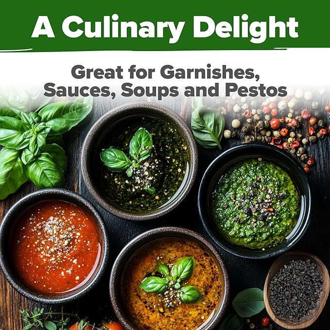 HOME GROWN 𝗨𝗦𝗔 𝗣𝗥𝗘𝗠𝗜𝗨𝗠 Genovese Basil Seeds Pack 1,750+ High Germination 𝗡𝗢𝗡-𝗚𝗠𝗢 Heirloom Seeds (Ocimum basilicum) Herb Seeds for Planting Indoor & Outdoor Gardening, for Culinary Use