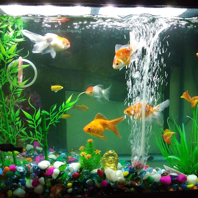 3/4" x 1" Braided Clear Plastic PVC Tubing 10ft High Pressure Flexible Reinforced Vinyl Tube, [for Garden Irrigation, Water Hose, Fish Tank, Water Transfer] - 19x25.4mm