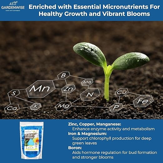 20-20-20 Water-Soluble Fertilizer – Powder for Liquid Plant Food for Indoor & Outdoor Plants, Orchids, Vegetables, Lawns, Flowers – 20 20 20 Fertilizer 3 Quarts (6 lbs)