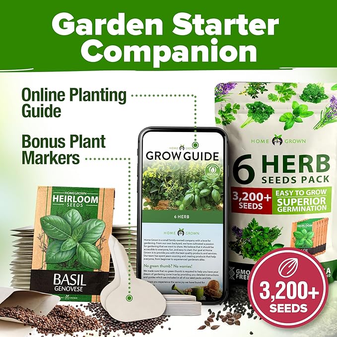 HOME GROWN 6 Herb Seeds for Planting 3,200+ Non-GMO Heirloom Seeds | Extra Large Variety Pack Herb Kit – Indoor Outdoor & Hydroponic | Culinary Seed Set | Grow Your Own Herbs | Gift for Beginners