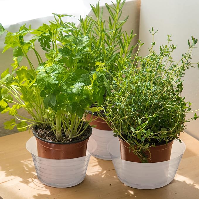 Hoolerry Plastic Plant Saucer Clear Deep Drip Tray Thickened Clear Plant Saucers Trays for Pots Deep Drip Trays for Home Garden Indoor and Outdoor Potted(15 Pcs, 6, 8, 10 Inch)