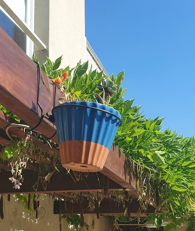 6 Pieces, 8 inches Iron hanging Flower Pot. Metal Plant Wall Hanger, Vertical Yard Garden. Planter Hook Ring, Rail Metal Fence. Indoor and Outdoor. Wire Trellis. Collapsible Bracket. (8 inches)