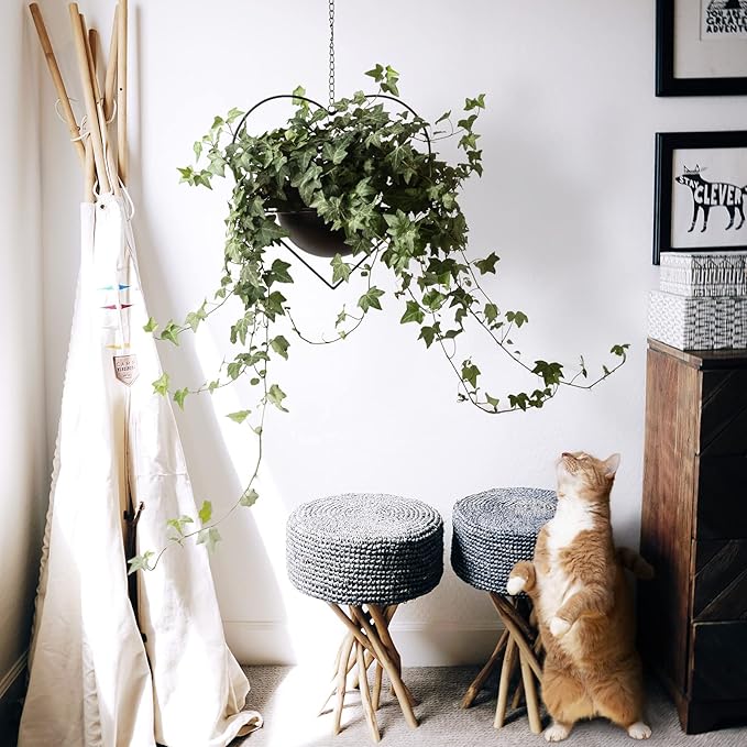 Hajia 1 Pack Heart Shaped Hanging Plant Holder with 7.5inch Detachable Pot, Black Metal Modern Hanging Planter for Indoor Outdoor, Minimalist Wall Ceiling Plant Hanger for Home Wedding Decor