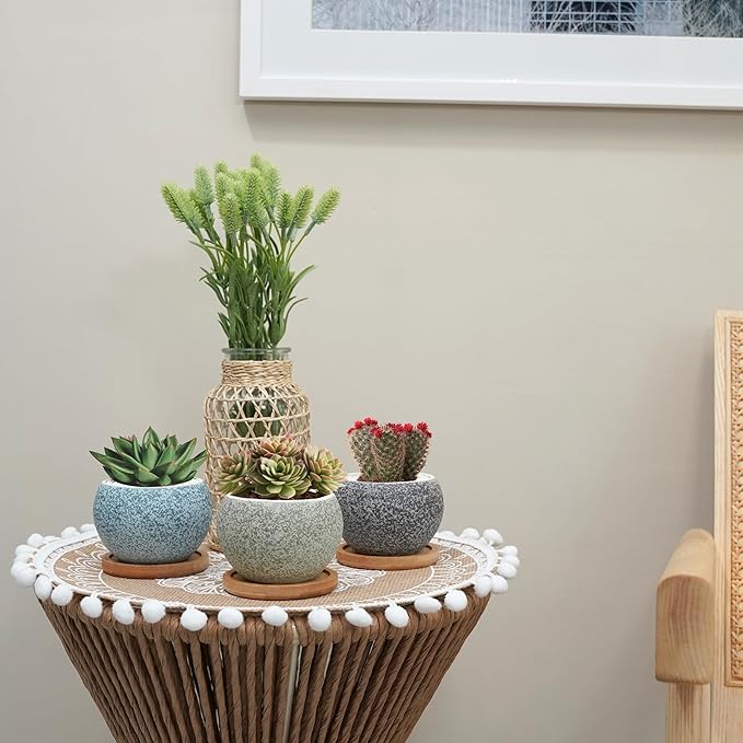 3 inch Ceramic pots for Plants, Small Succulent Pots Set with Drainage, 6 Pack Flower Pot for Indoor Plant, Decorative Planters for Little or Mini Cactus