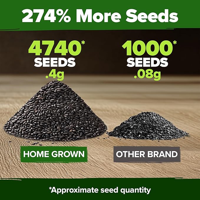 HOME GROWN Peppermint Seeds 2 Pack (Mentha × piperita) – 4,740 Heirloom Mint Seeds for Planting – 𝗡𝗢𝗡-𝗚𝗠𝗢, 𝗨𝗦𝗔-𝗦𝗢𝗨𝗥𝗖𝗘𝗗 – Grow Indoors or Outdoors, Kitchen Herb Garden Favorite