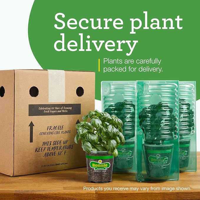 Bonnie Plants Strawberry, Live Plant, 19.3 oz. (4-Pack)