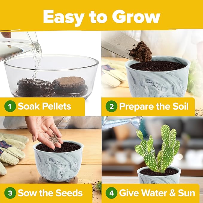 HOME GROWN Deluxe Succulent & Cactus Seed Grow Kit - Indoor Cactus & Succulent Kit w/Cactus Seeds, Potting Soil, Ceramic Succulent Pots, Water Drip Trays, Grow Guide for Plant Lovers
