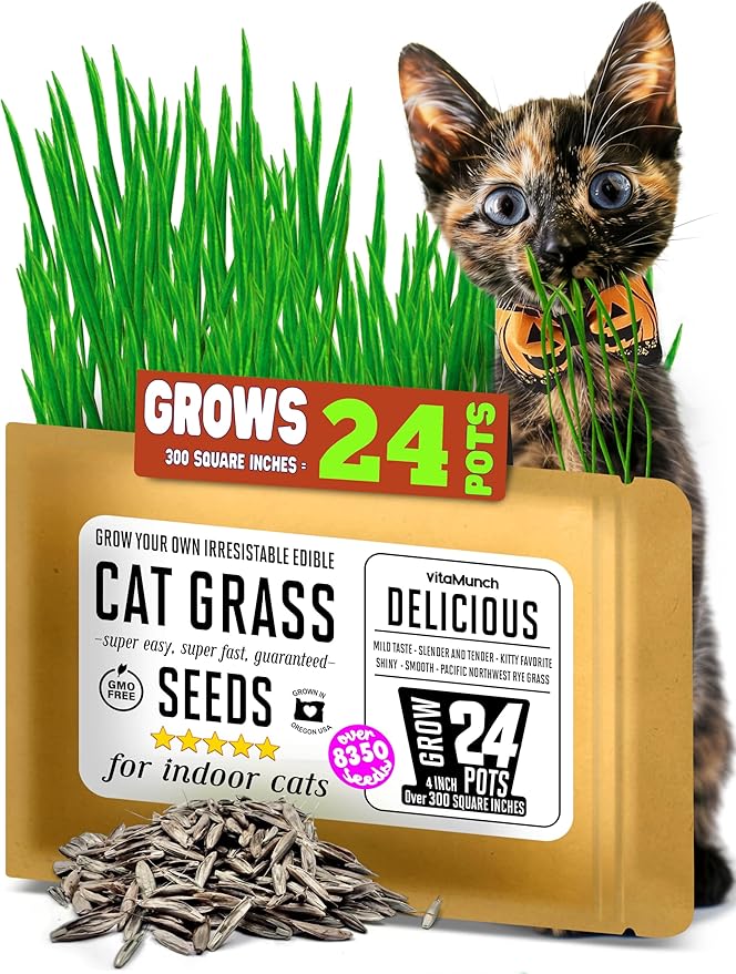 Cat Grass Seeds – Smooth Tasty Ryegrass – Grows 24 Pots of Fresh Cat Grass for Indoor Cats & Kittens – Easy & Fast to Grow – Small Pack Grows 300 Square inches of Edible cat Grass Vitamunch