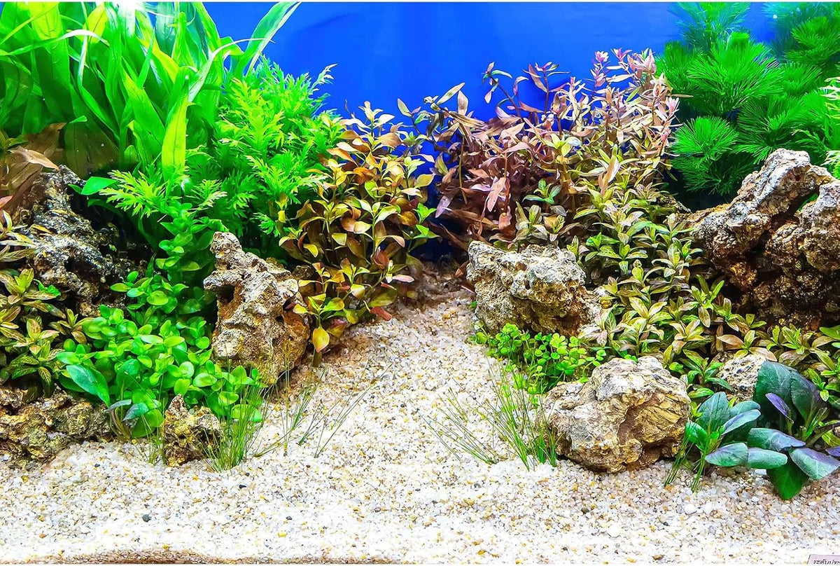Fish Tank Background Underwater Grass Leaves with Pebble Aquarium Background Vivid Green Aquatic Plant Stone River Bed Terrarium Background Underwater Fish Tank Background 30x12in