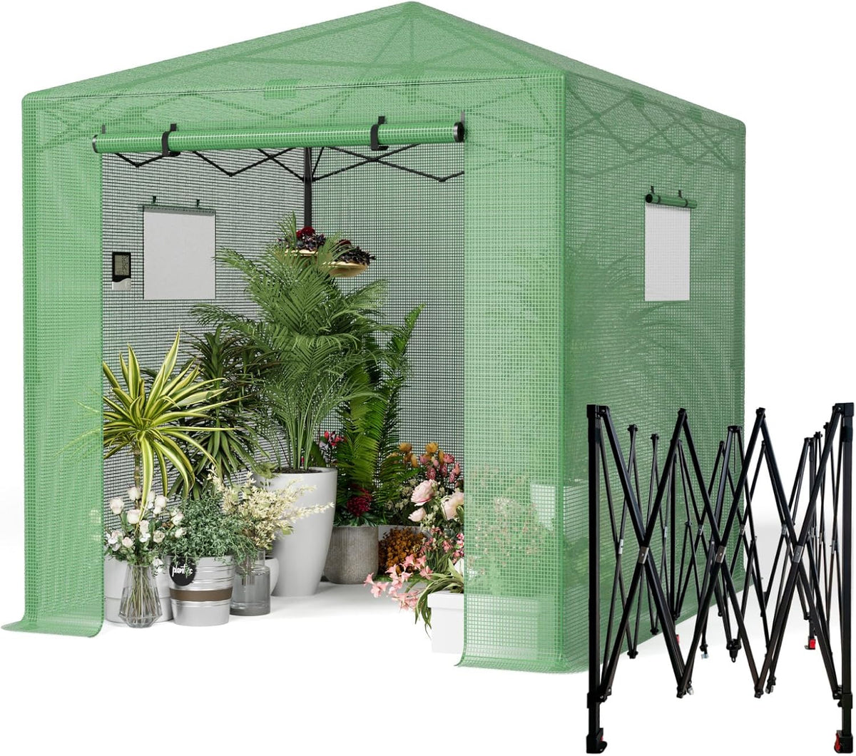 Pop Up Greenhouse 8x6FT, Pop Up Green House for Outdoors, Portable Greenhouses, Walk-in Greenhouses, Popup Greenhouse Kit, Easy Set Up