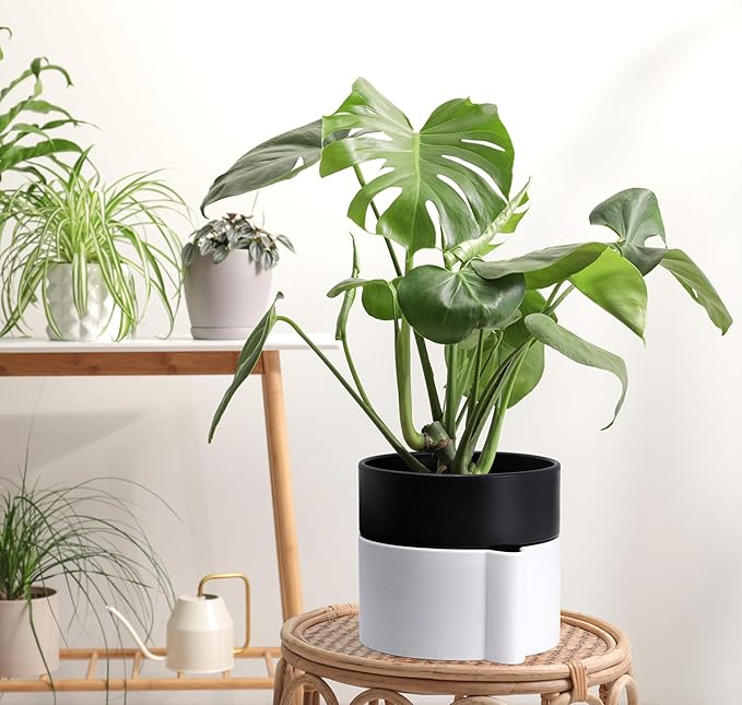 8 Inch Self-Watering Planter Pot with Terracotta Insert, Deep Water Reservoir, and Ceramic-Alike BPA-Free Plastic Planter Pot for Plant, Modern Planter for Houseplants, White/Black, 53-B-T-4