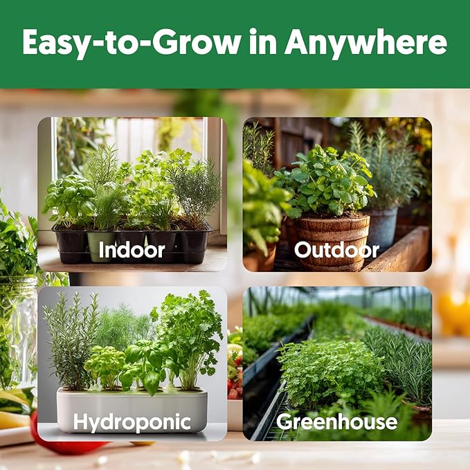 12 Varieties of Seasoning Seeds for Planting, Family Culinary Spice Herb & Veggie Seeds Packet, Basil, Rosemary, Thyme, Cilantro, Pepper, Mint, Non-GMO, Heirloom, for Home Garden Indoor Outdoor