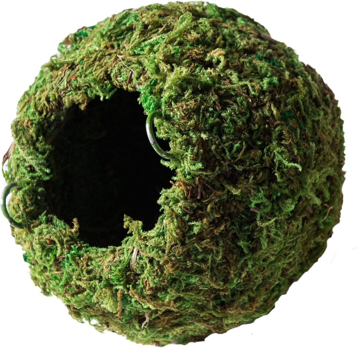 Galápagos (05348) Mossy Cave Hide, 6", Green Sphagnum