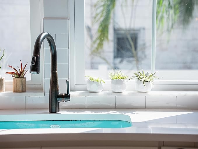 Air Plant Shop 10 Pack Tillandsia Air Plant Grab Bag of Premium Medium & Large Plants- Wholesale and Bulk - Succulents - Live Tillandsia - Easy Care Indoor and Outdoor House Plants